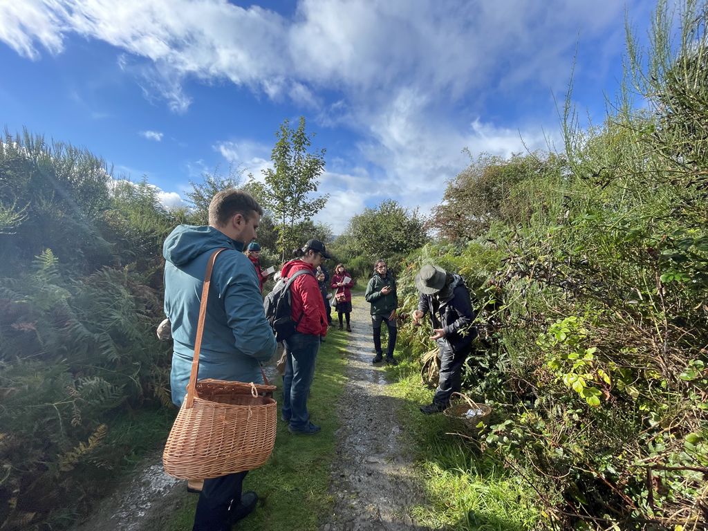 Foraging First Steps