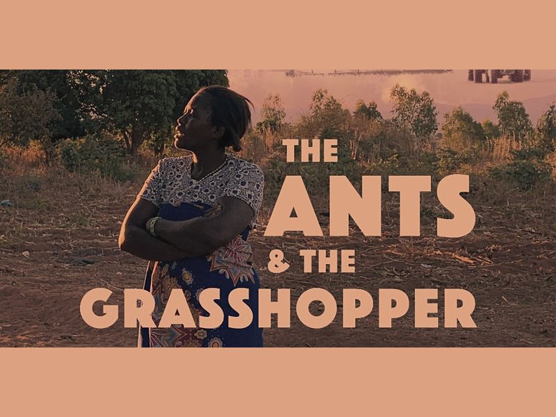‘The Ants and the Grasshopper’ Film Screening and Discussion with Raj Patel