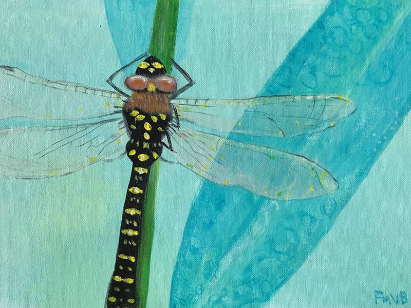 Dragonfly Paint Night