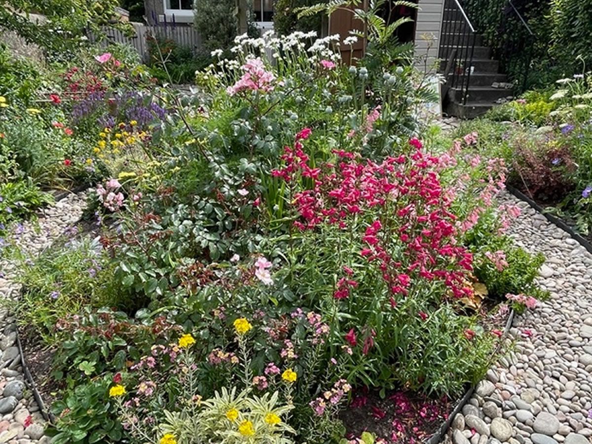 Scotland’s Gardens Scheme Open Garden: 13 Bangholm Bower Avenue