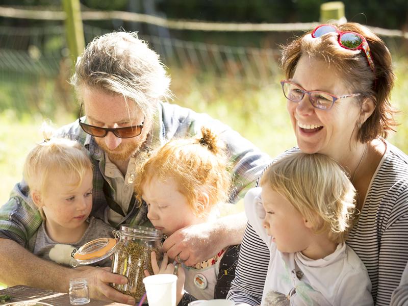 Trossachs Wild Apothecary launches an online Family Foraging Course