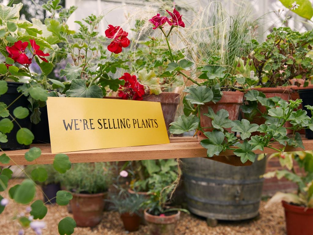 Paisley Florist Society Gardening Club Plant Sale