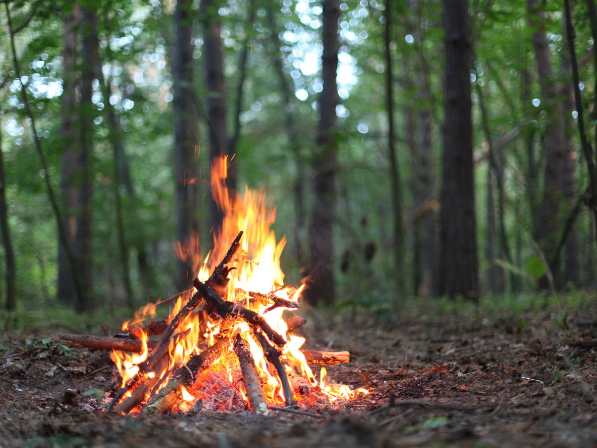 Litha (Midsummer) Celebration