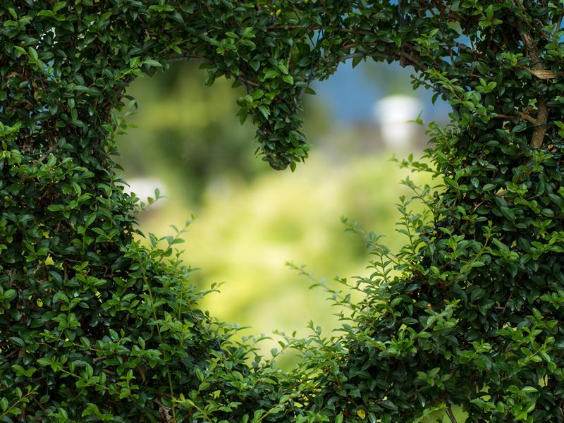 The Market Place Newton Mearns: Gardening Group