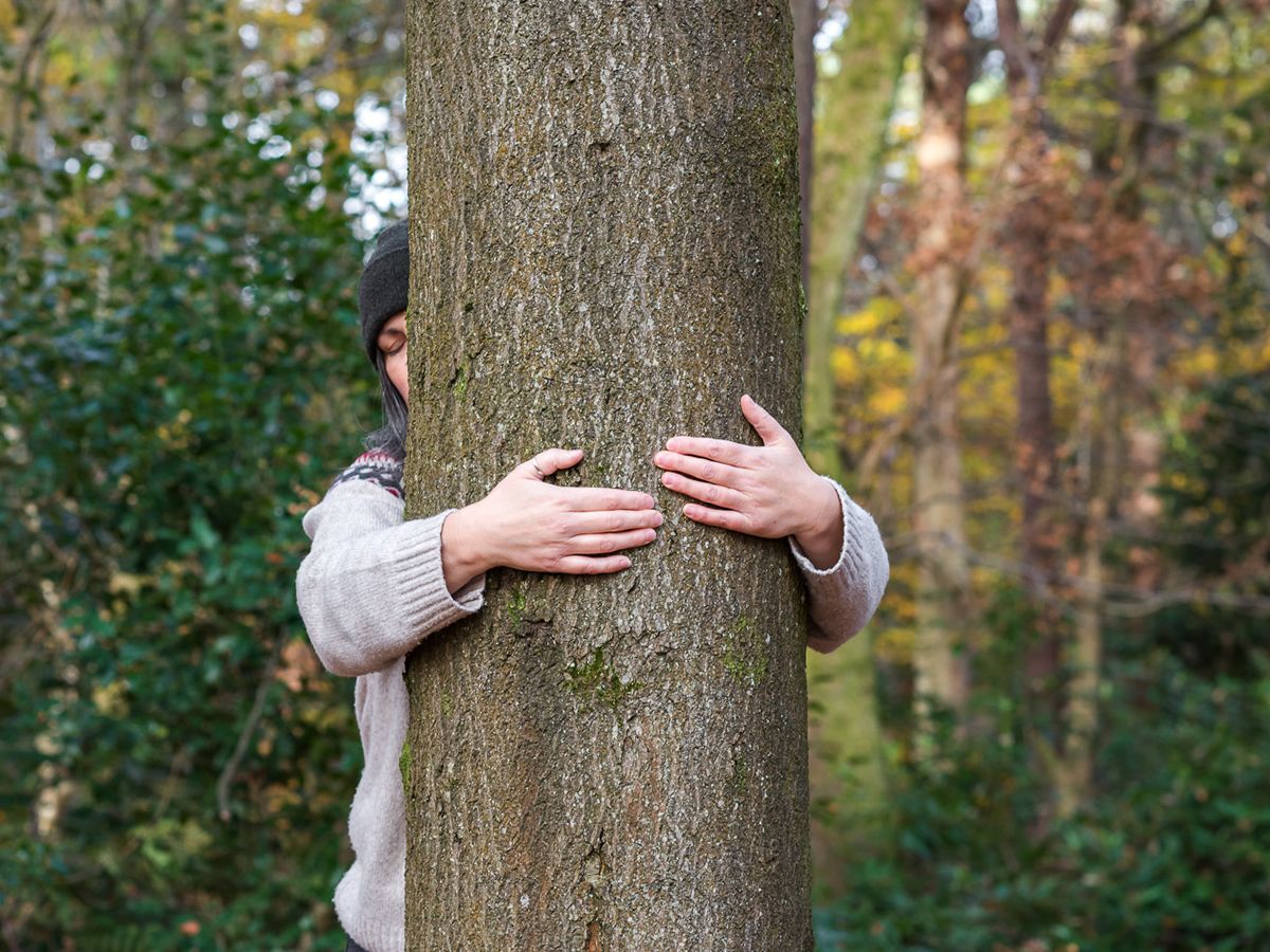 The Scottish Tree Hugging Tournament