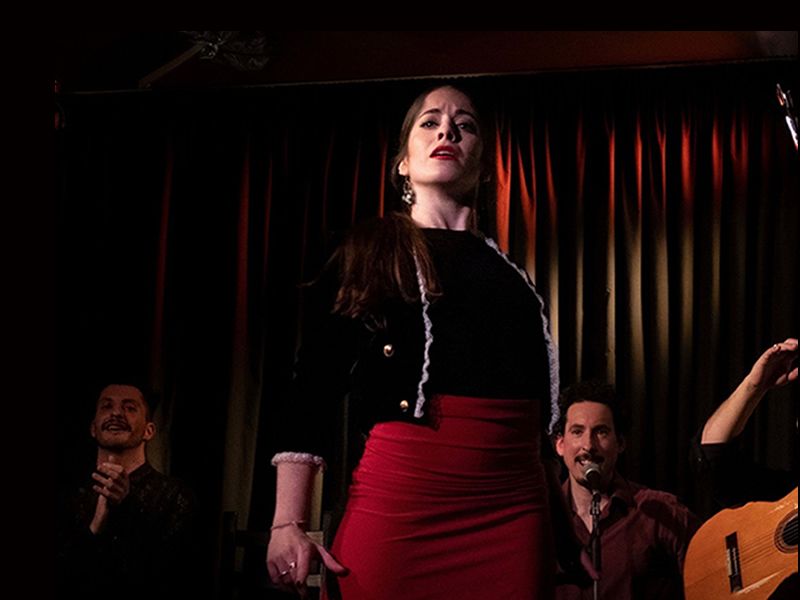Flamenco Dance workshop