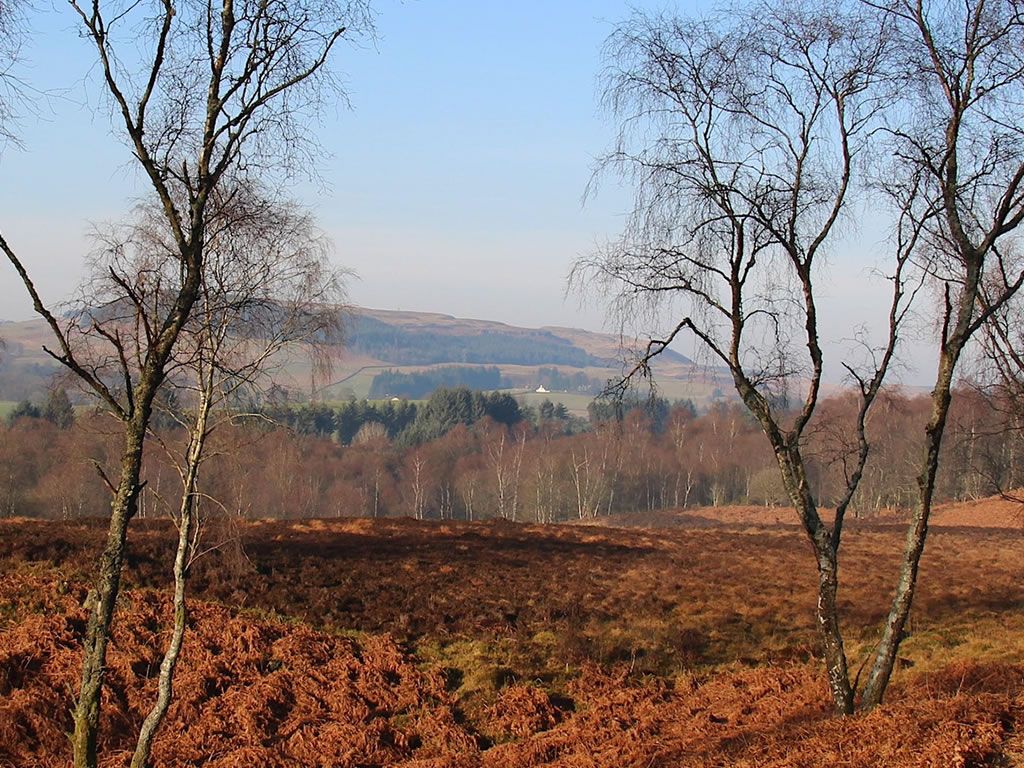 Mugdock Sensational Safari: Drumclog Moor Adventure