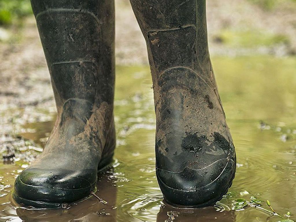 Wildlife Weans, Mugdock: Wonderful Welly Wander