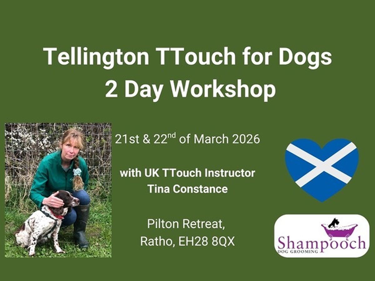 Tellington TTouch Workshop