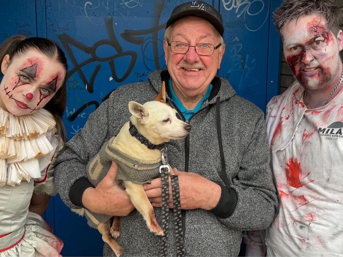 Zombies break out of M&Ds Scream Park