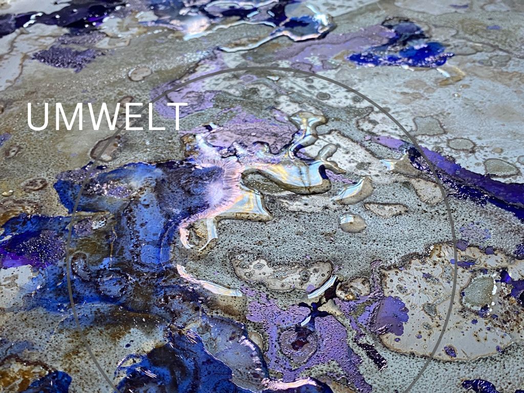 Umwelt