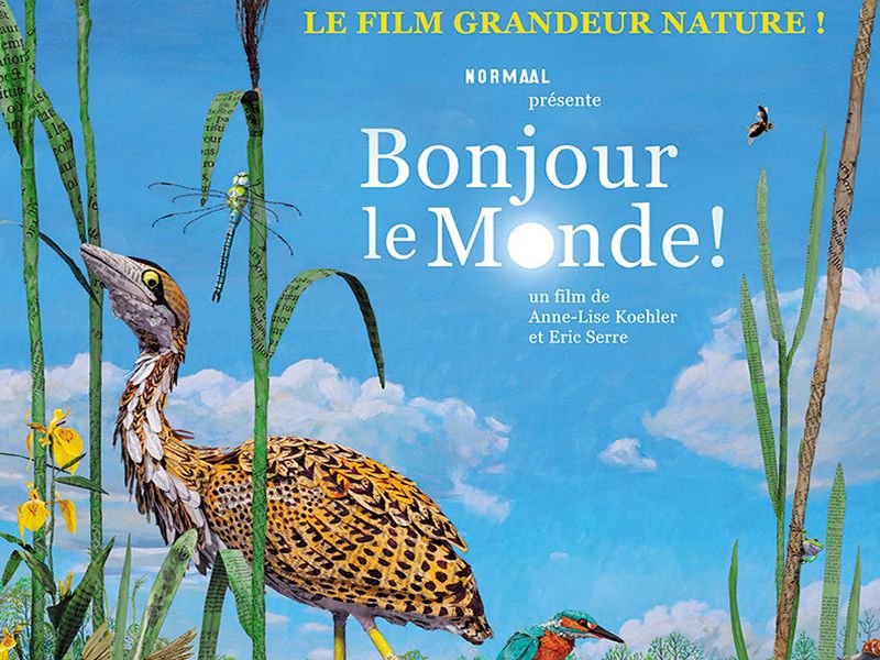 Screen Horizons: Hello World! / Bonjour le Monde!