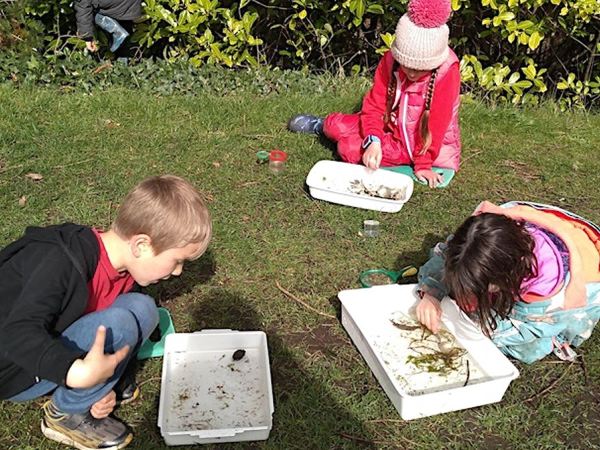 Wild Oaks Outdoor Learning Group