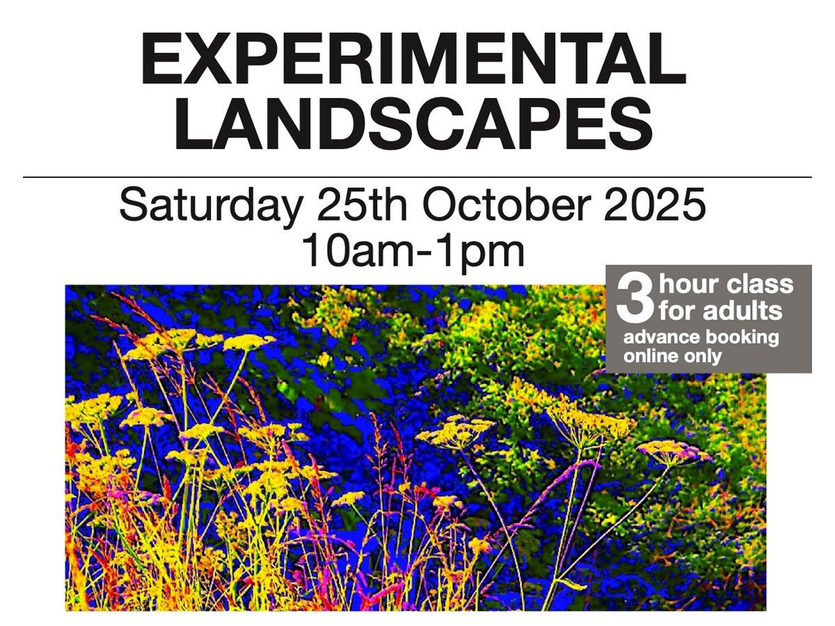 Experimental Landscapes