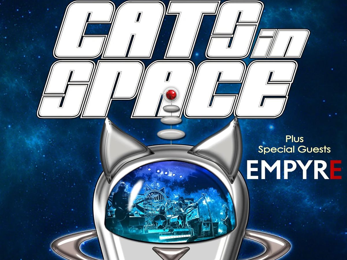 Cats In Space