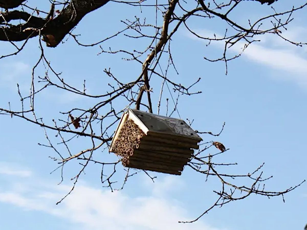 Exhibition Tour: Considering the Climate Crisis