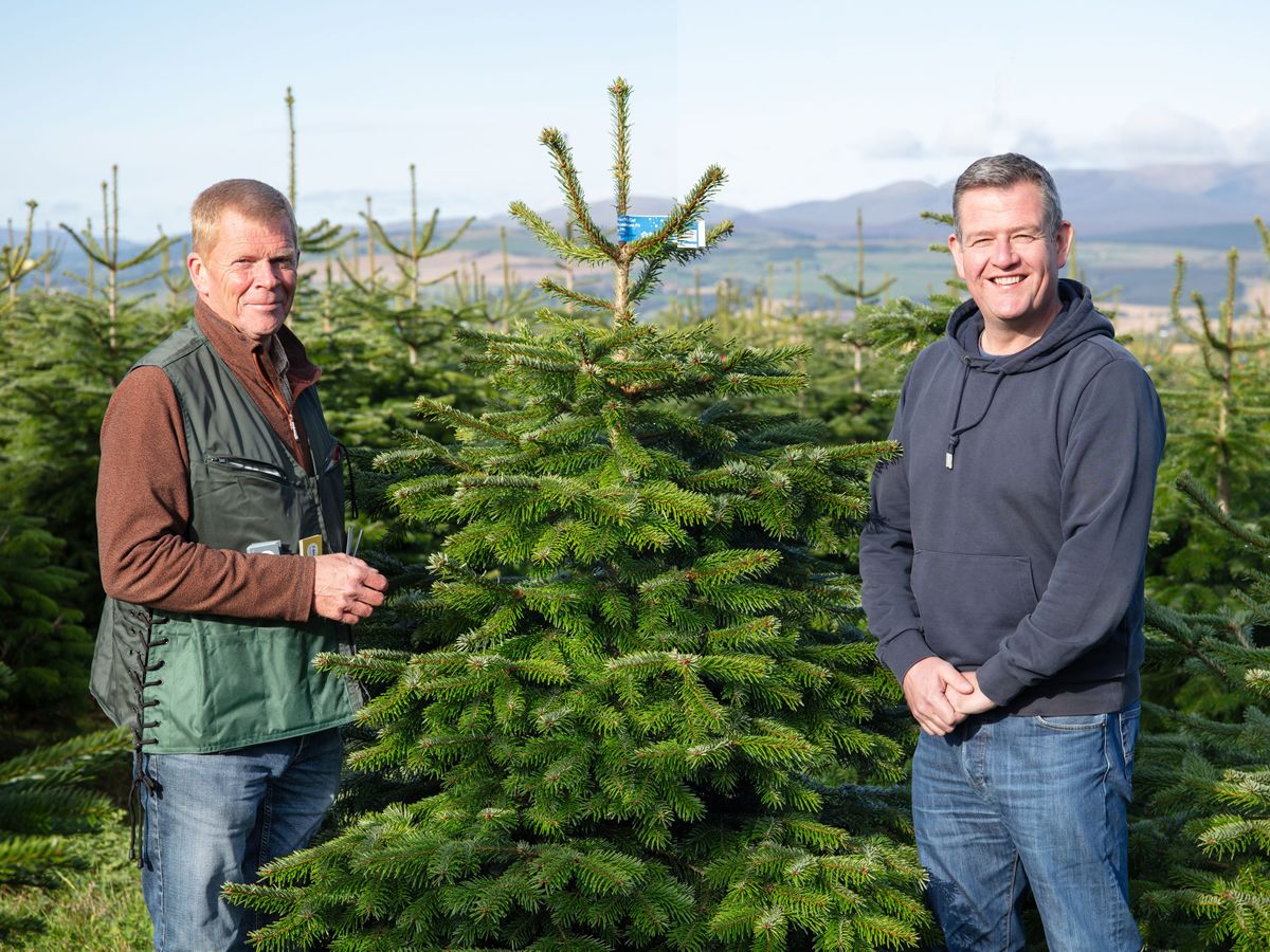 Dobbies donates Christmas trees to local communities