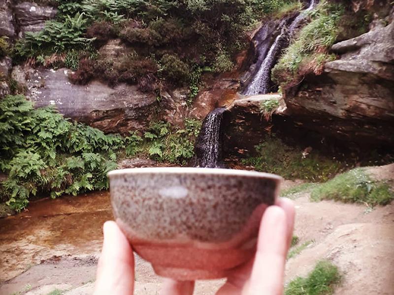 Terrain Tea Tales: Tea Ceremony and Stories In Cambo Garden
