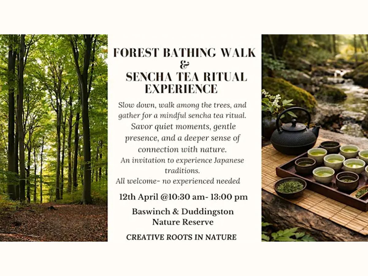 Forest Bathing Walk & Sencha Tea Ritual Experience