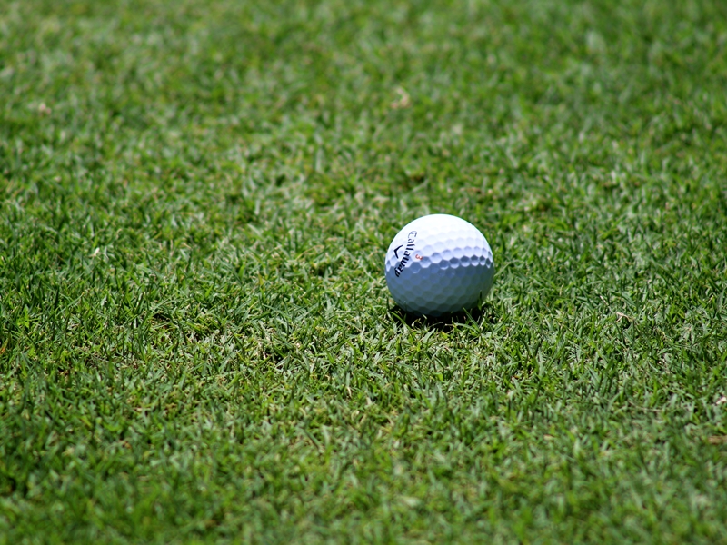 The Bruntsfield Links