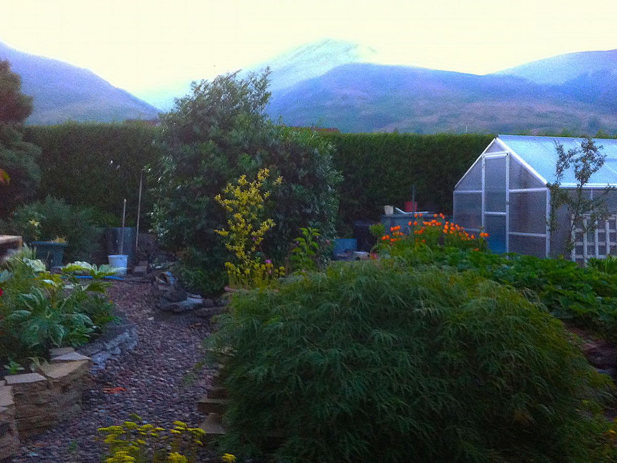 Scotland’s Gardens Scheme Open Garden: 60 Greenhead