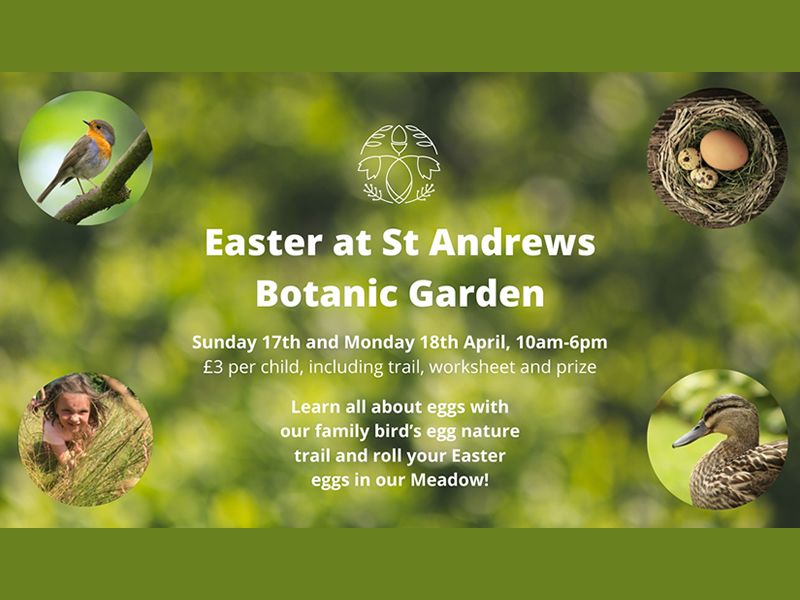 Easter at St Andrews Botanic Garden