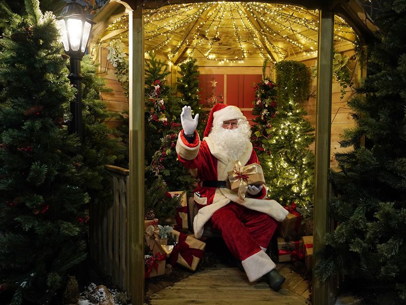 Christmas is officially in full swing in at Dobbies