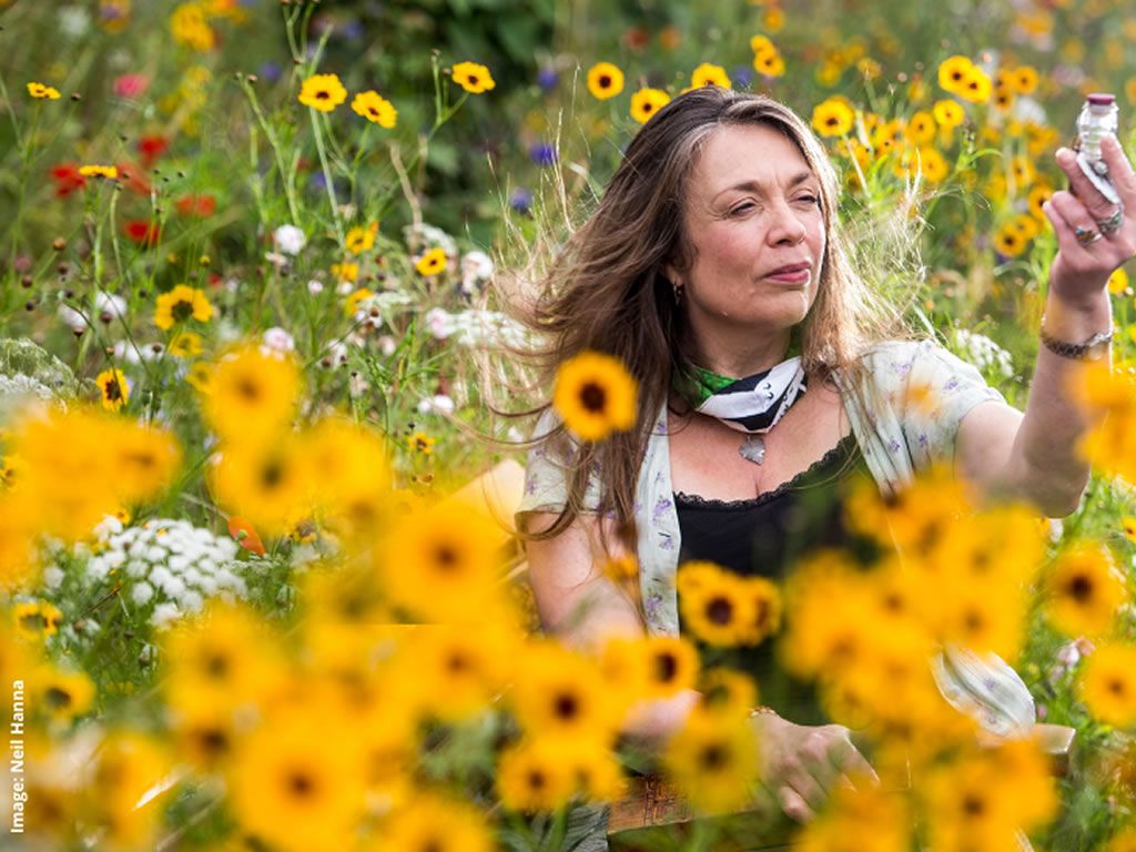 Easy Sundays: The Time Traveller’s Herbal
