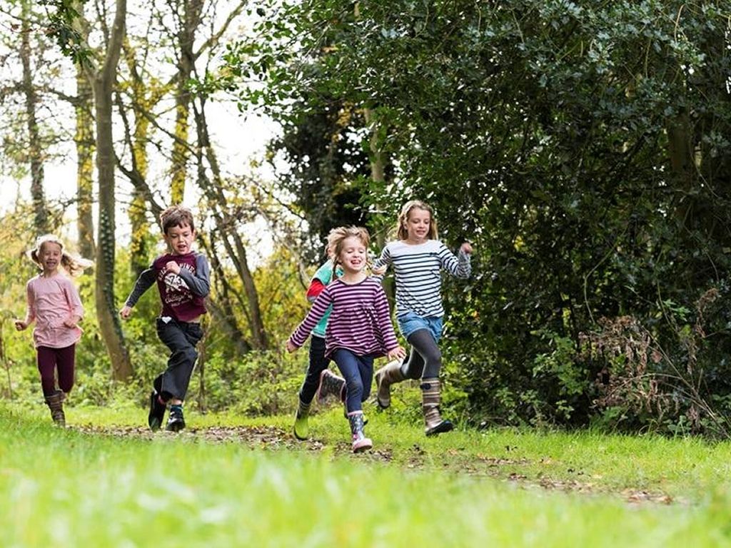 Kids Self-led Activity: Wondrous Woodlands