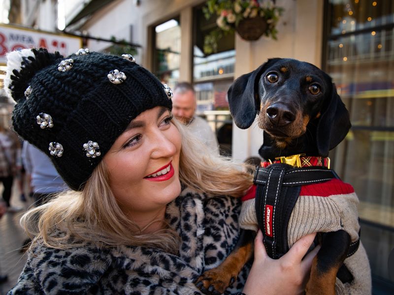 Pup Up Cafe: Dachshund Christmas Tour