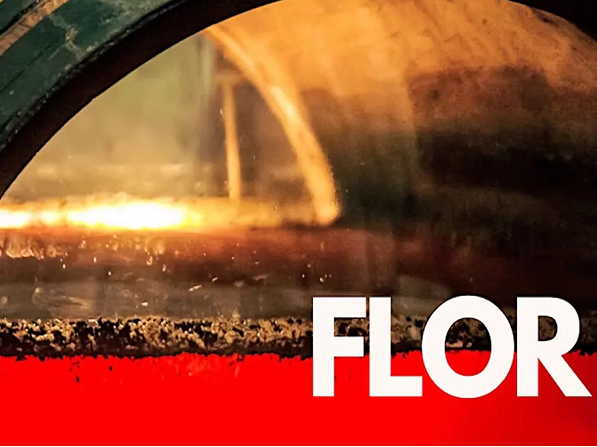 Flor Wine Tasting
