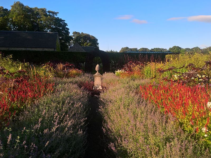 Scotland’s Gardens Scheme Open Garden: Whitburgh House Walled Garden