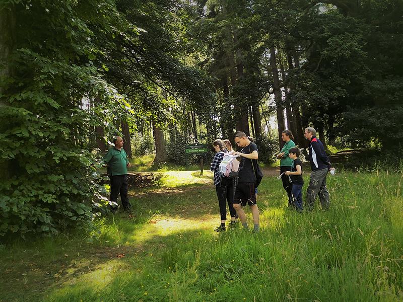 Fungi time in Callendar Wood