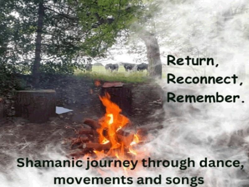 Shamanic journey through dance, movements and songs in Forest