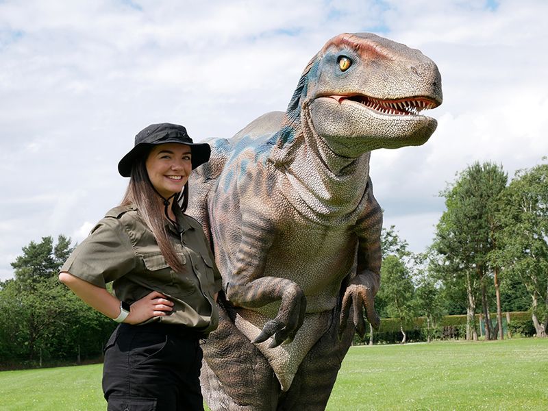 Conifox Adventure Park launches eclectic summer events programme for ...