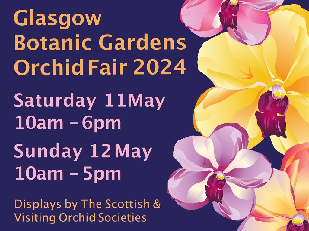 Glasgow Botanic Gardens Orchid Fair