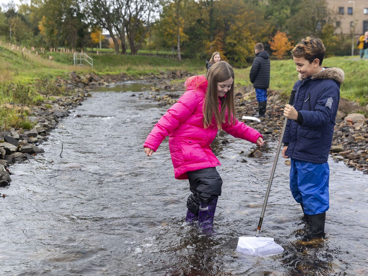 Salmon return to Levern Water in Barrhead after 170 years