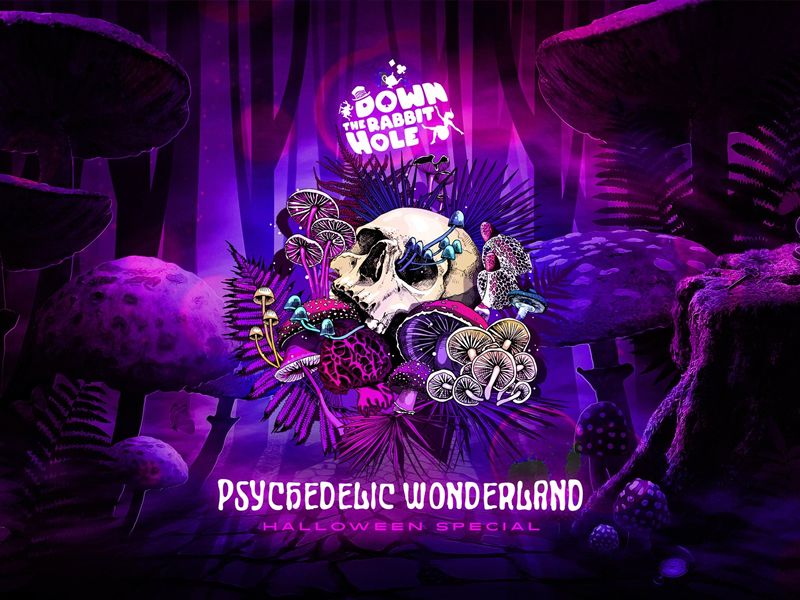 Down the Rabbit Hole: Psychedelic Wonderland