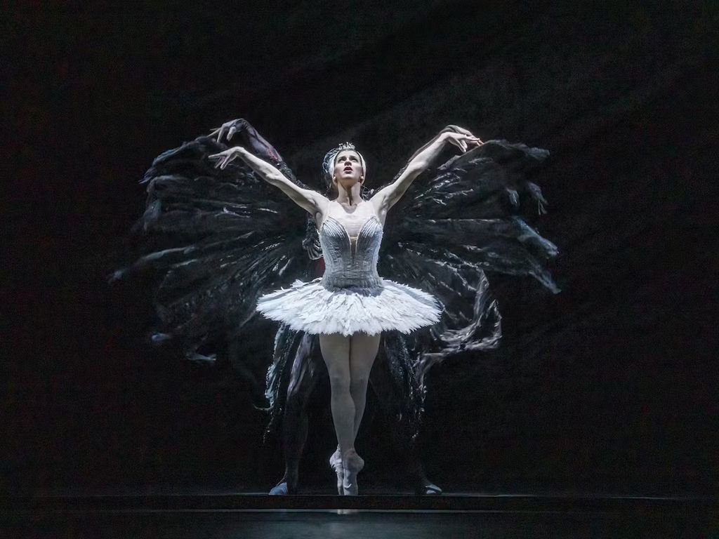 The Royal Ballet: Swan Lake