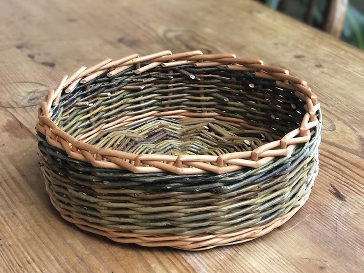 Willow Basketry Summer School
