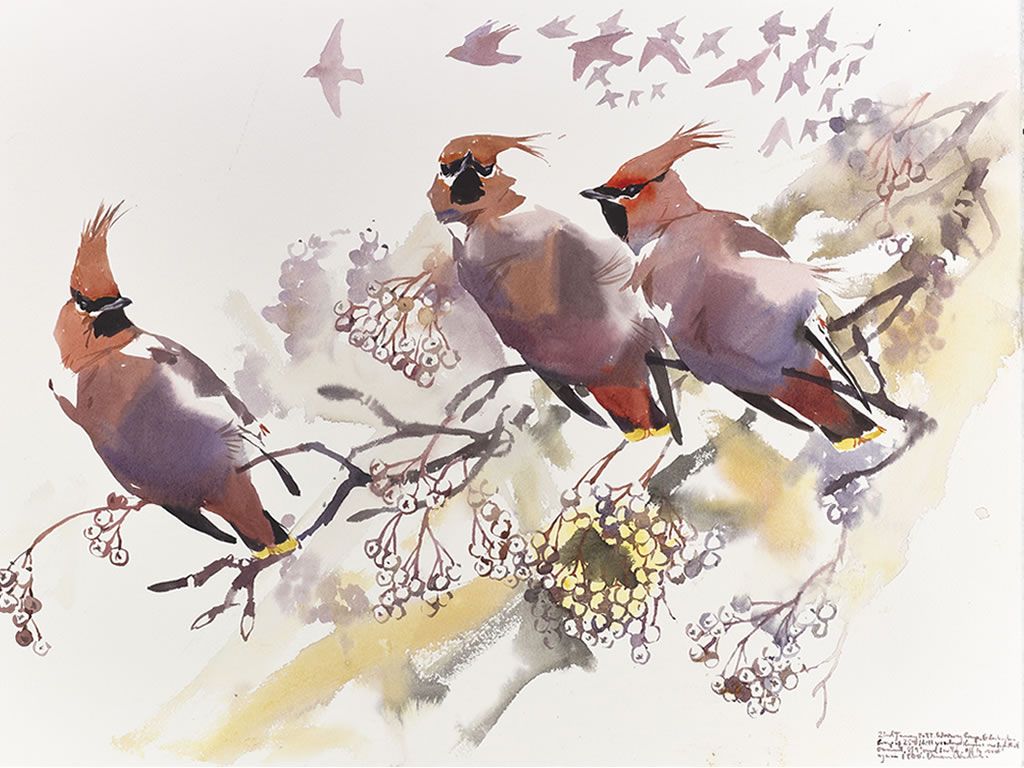 Darren Woodhead - Wildlife Art Exhibition