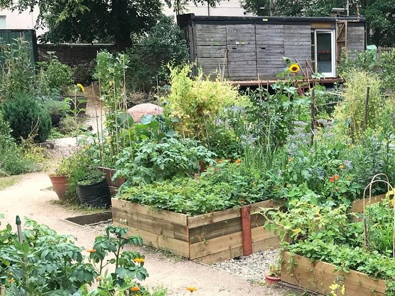 Woodlands Community Garden