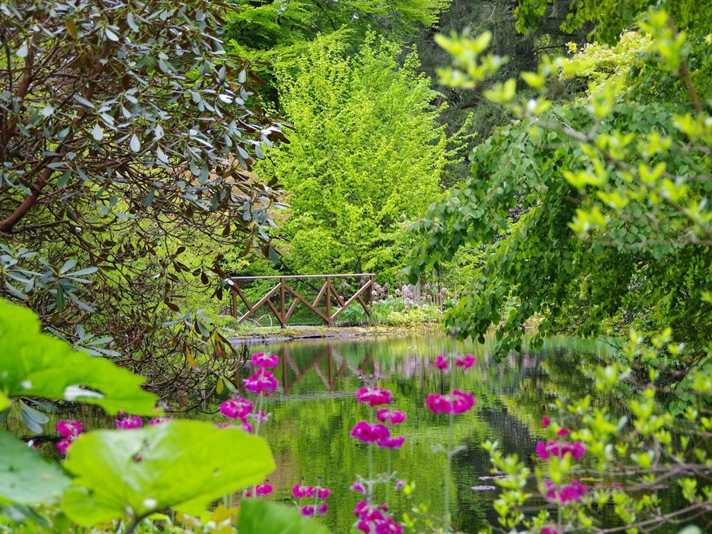 Benmore Botanic Garden