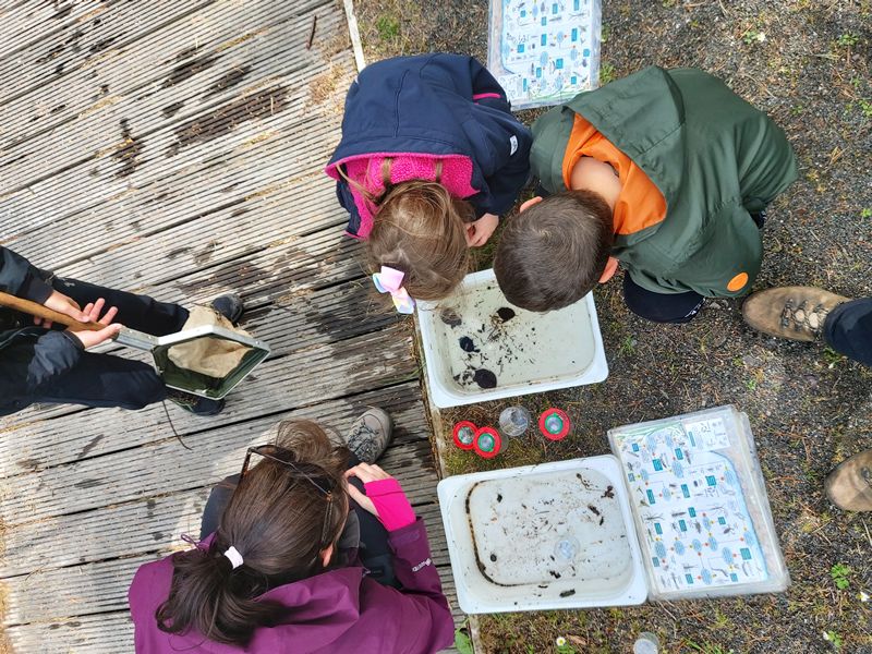 Summer Kids: Pond Dipping & Mini Beasts