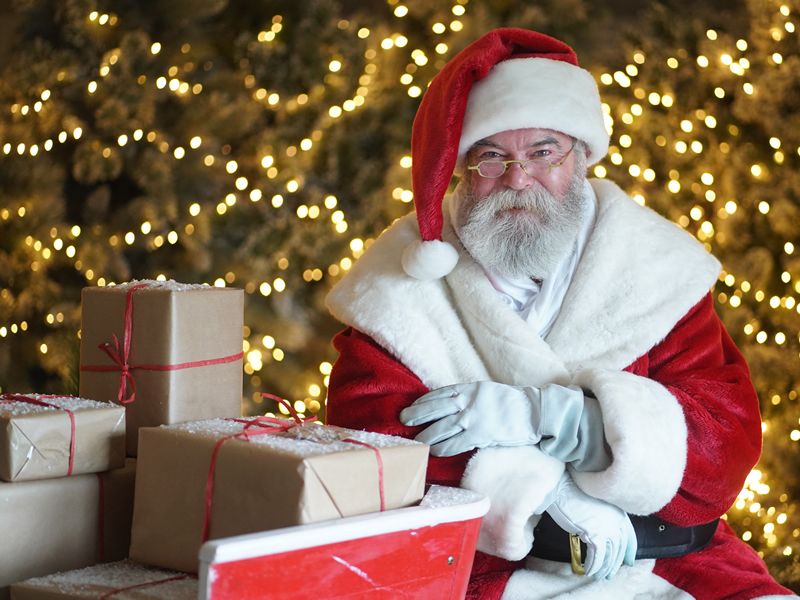 Calling all Santas and Elves... Dobbies launches its festive recruitment drive