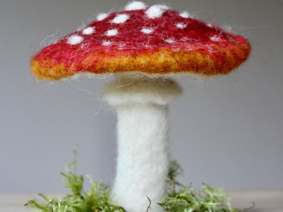 Festive Felted Fungi with The Pale Rook