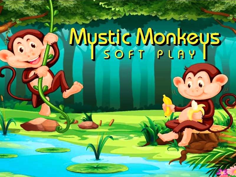 Mystic Monkeys Soft Play