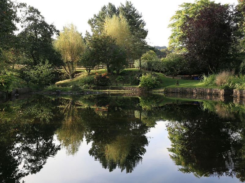 Scotland’s Gardens Scheme Open Garden: Longwood