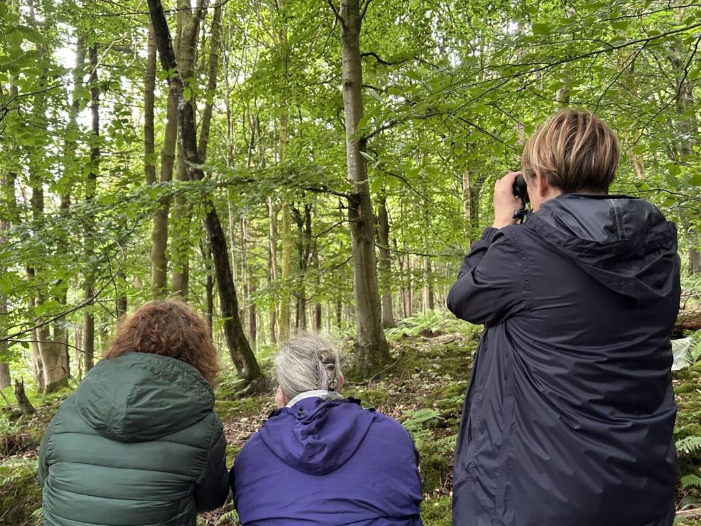 Wild Ways Well Health Walks