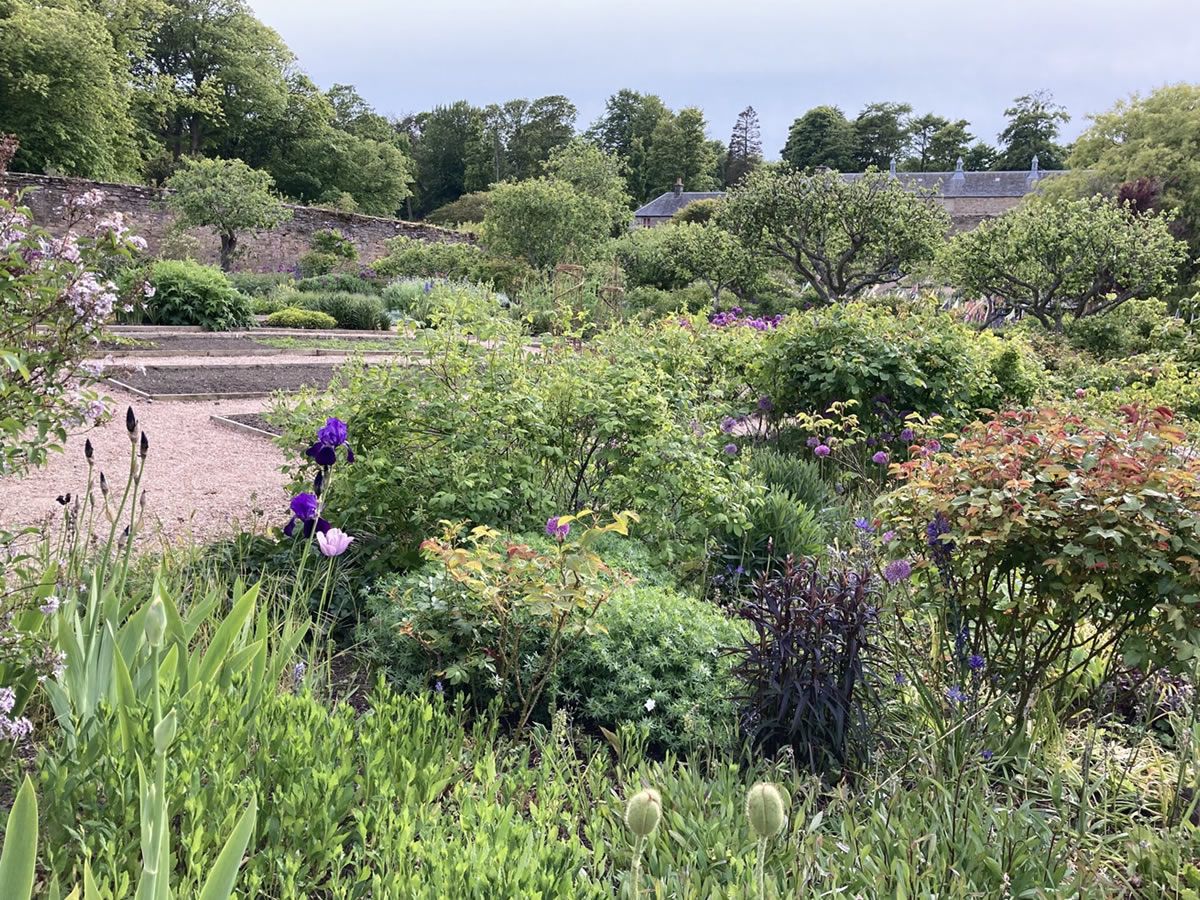 Pick-up a fruit tree at Cambo Gardens